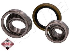 Ashika 44-12008 Radlagersatz